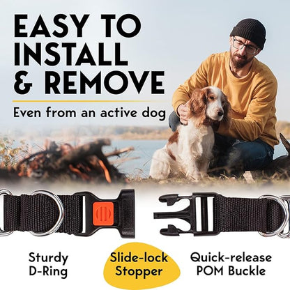 Prong Collar for Dogs