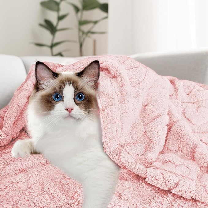 MACEVIA Fluffy Fleece Dog Blankets (24x29 Inch,