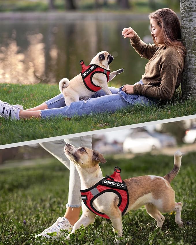 FAYOGOO Service Dog Vest for Small Breed - Lightweight Dog Harness with 6PCS Removable Patches - Puppy Harness and Leash Set for Walking,Training