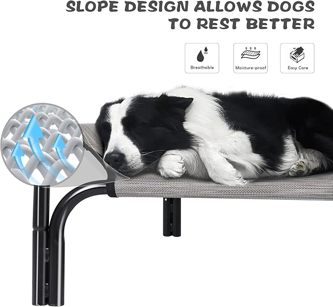 Cooling Elevated Dog Bed