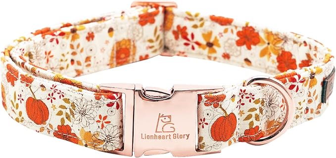 Lionheart glory Dog Collar Halloween Collar Dog Fall Dog Collars