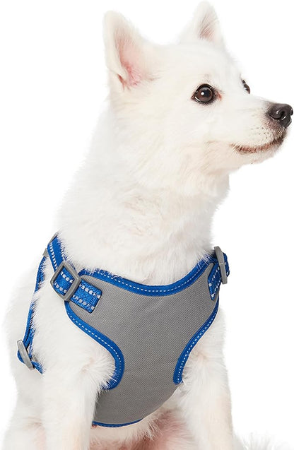 Blueberry Pet Essentials Pastel Color Reflective Matching Dog Harness Vest and Leash Set in Navy, Adjustable Harness with 4 ft Leash for Large Dogs