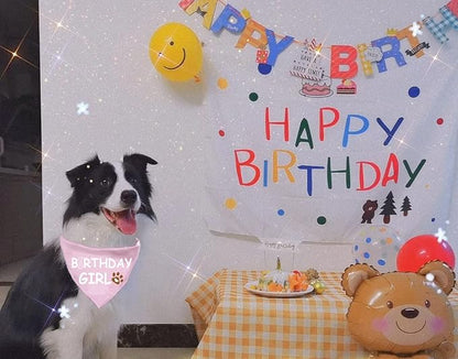 Dog Birthday Bandana Dog Birthday Boy Girl Dog