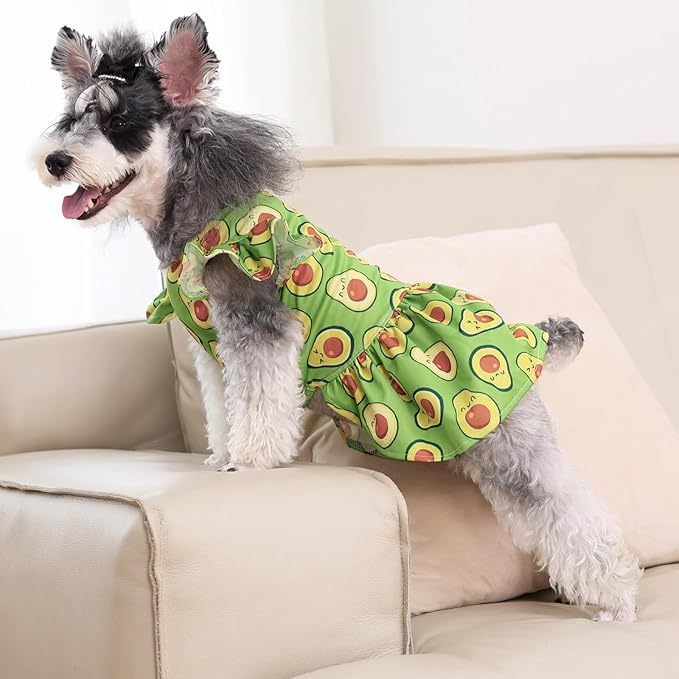 CuteBone Dog Dress Princess Puppy Birthday Dresses FX07M