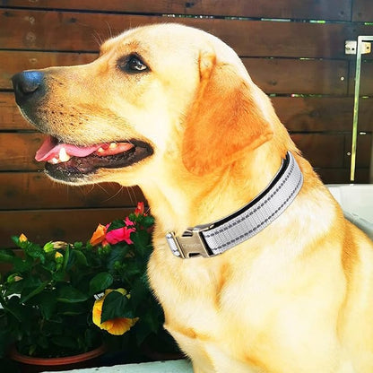 CHEDE Reflective Dog Collar