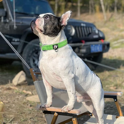 azuza Reflective Dog Collar Green Soft Neoprene Padded Pet Collar with ID Tag Ring