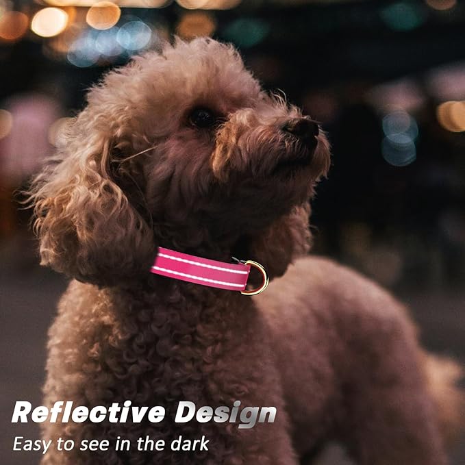 Reflective Dog Collar