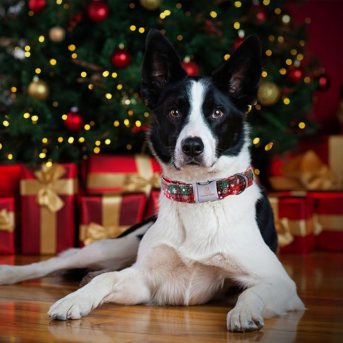 Lionheart glory Christmas Plaid Dog Collar