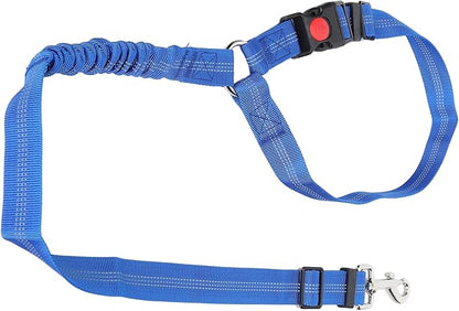 Dog Seat Belt for Cars