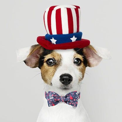 American Flag Dog Collar with Bow Tie 4th of 16-24in