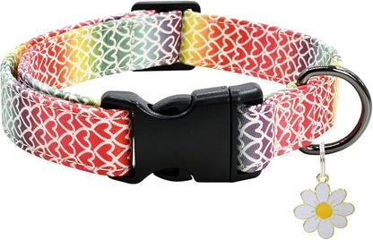 Colorful Heart Dog Collar with Pendant