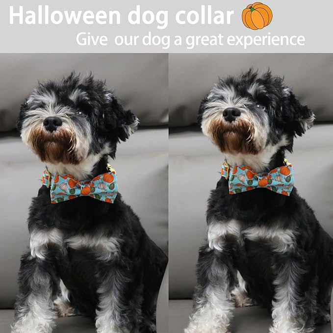 ARING PET Halloween Dog Collar Cotton Pumpkin Dog Collar with Bow