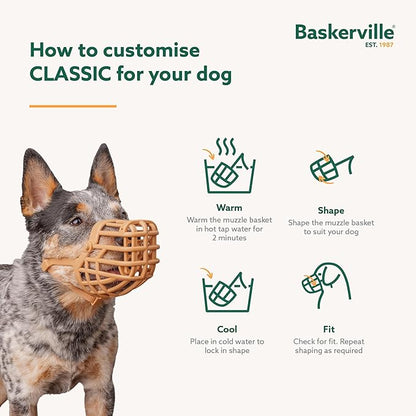 Baskerville Classic Basket Muzzle - Dog can Pant and Drink, Prevents Biting and Food Waste Scavenging, Strong TPR, Ideal for Longer Nosed Dogs, Breathable Dog Training Muzzle for Small Dogs (Size 2)