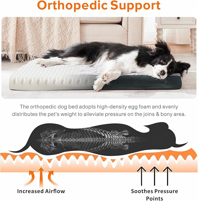 JOEJOY Orthopedic Dog Bed for Extra Large Medium Dogs 36x27 Inch