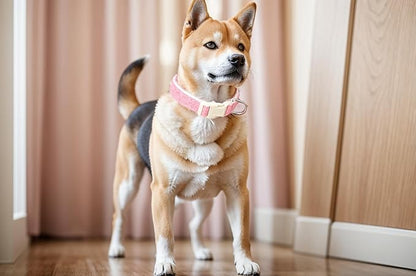 Breathable Cotton Dog Collar