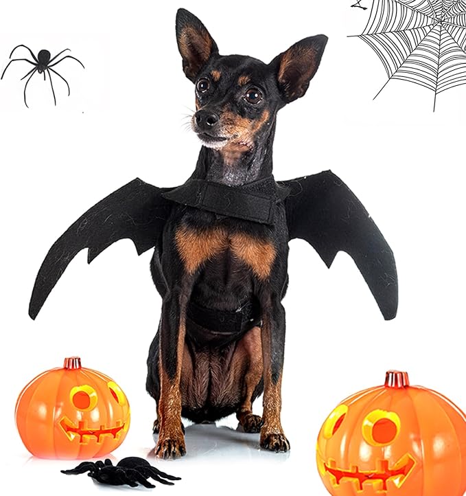 Halloween Cat Costume Black Felt Bat Wings Costume for Halloween Party Decoration, Puppy Collar Leads Cosplay Bat Clothes Small Halloween Cute Dress up Accessories Pet Apparel for Dogs & Cats Only