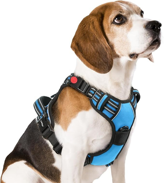 rabbitgoo Dog Harness Medium Sized, No Pull Pet Harness with 3 Buckles, Adjustable Soft Padded Dog Vest with Instant Control Handle, Easy Walking Reflective Pet Vest for Medium Dogs, Sky Blue, M