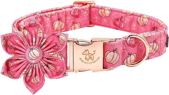 Elegant little tail Dog Collar with Flower