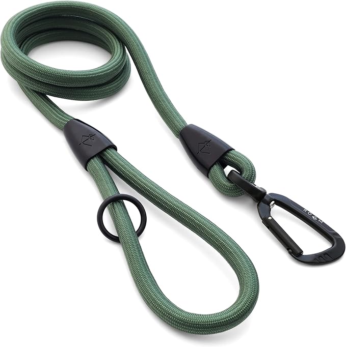 MADE TO ROAM Premium Everyday Leash 6ft (Metal