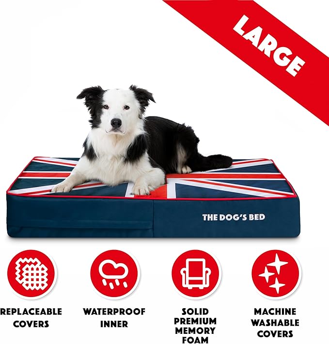 The Dog’s Bed Orthopedic Memory Foam Dog Bed 40x25, Pain