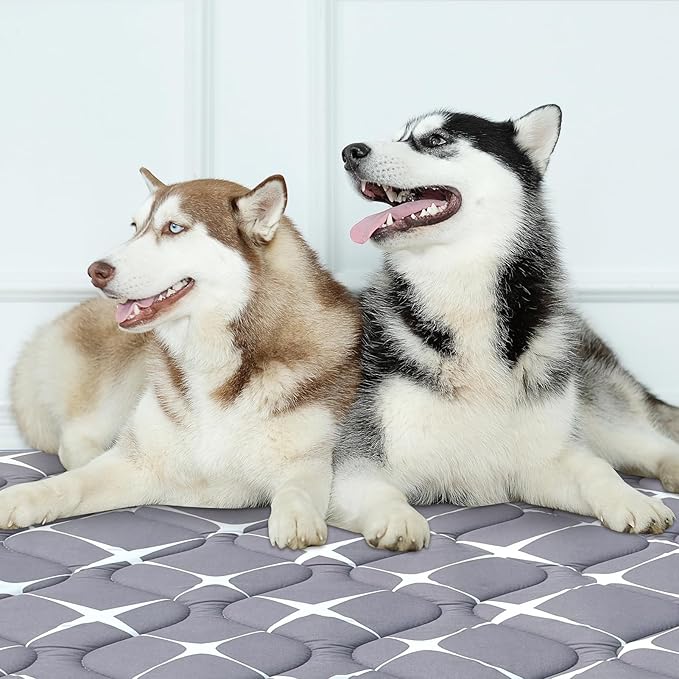 Dog Crate Mat (42" X 28")