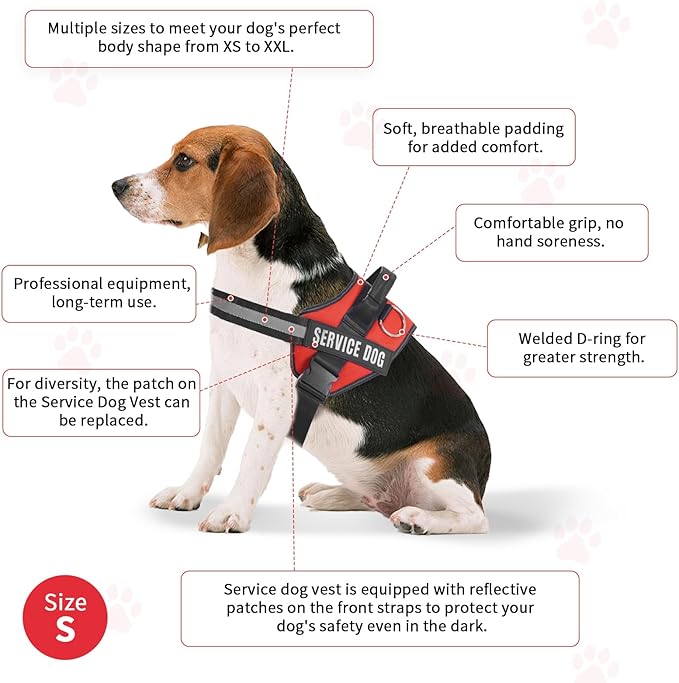 Service Dog Vest, Service Dog Tag and 50 ADA Information Cards,Service Dog Harness in Sizes X Small to XX Large, Ruggedized Metal Tag, Service Animal Information Cards, ESA Accessory Set (Small)