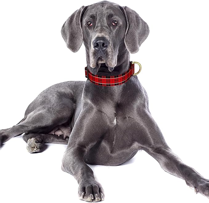 Reflective Dog Collar