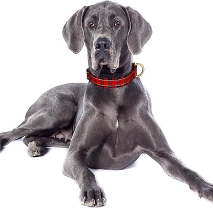 Reflective Dog Collar