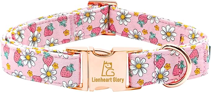 Lionheart glory Dog Collar Pink Dogs Collar Spring