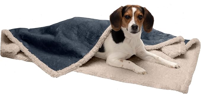 Furhaven Waterproof & Self-Warming Throw Blanket for Dogs & Indoor Cats