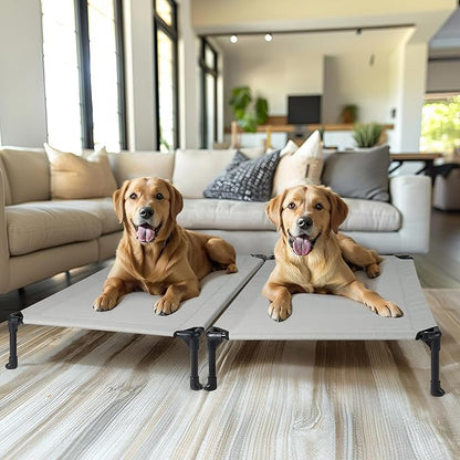 Veehoo 2 Pack Raised Dog Bed 42" x 30", Grey, CWC1803-L
