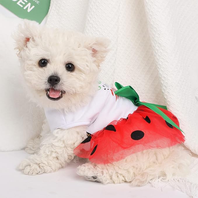 Dog Dress for Small Medium Dogs Girl Watermelon Polka Dots Mesh Dress Dog Outfit