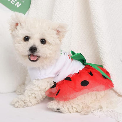 Dog Clothes for Small Dogs Girl Watermelon Polka Dots Mesh Dress Dog Outfit