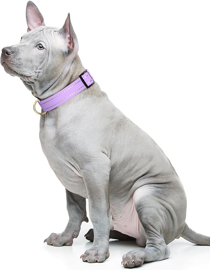 Reflective Dog Collar