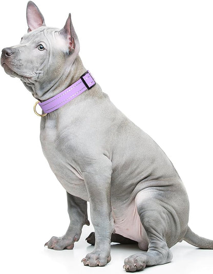 Reflective Dog Collar