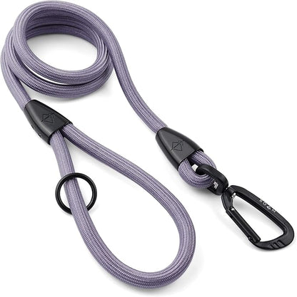 MADE TO ROAM Premium Everyday Leash 4ft (Metal