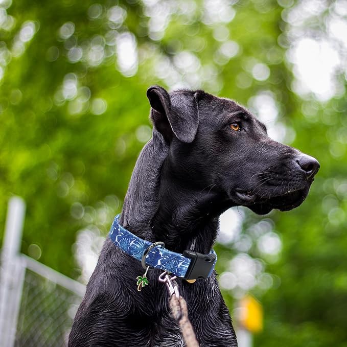 Flower Patterns Dog Collar with Accessories