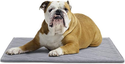 HOMBYS Chew Proof Dog Crate Pad Mat (Small(29" L 18" W),