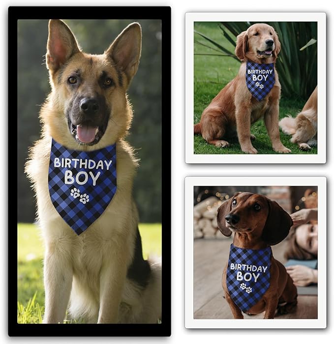 Birthday Boy Dog Bandana Dog Birthday Boy Bandana