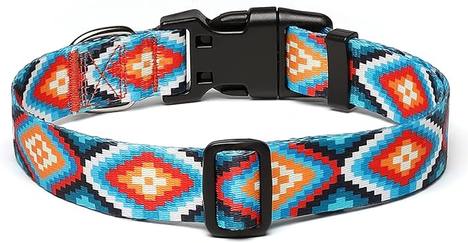 Adjustable Dog Collar with Patterns