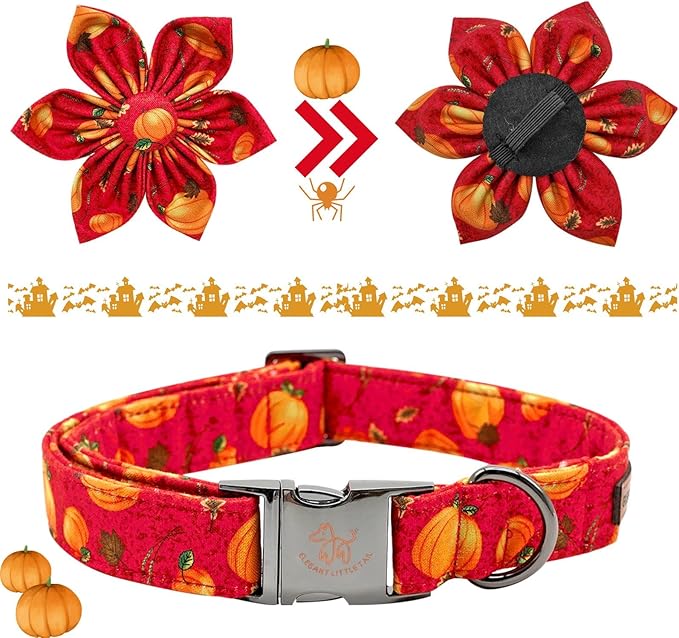 Elegant little tail Dog Collar with Flower
