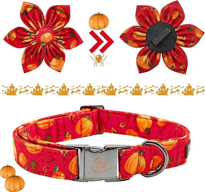Elegant little tail Dog Collar with Flower