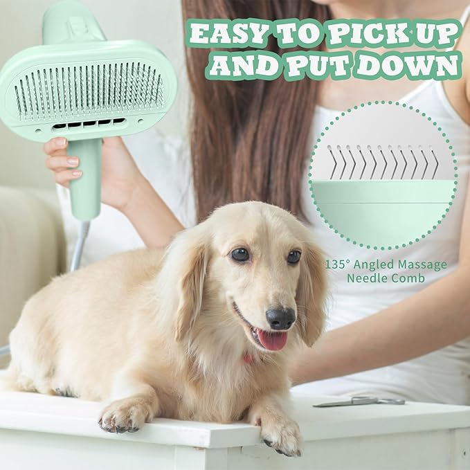 2-in-1 Pet Dryer and Brush- Overheating Protection, 3 Blowing Modes, Low Noise- Ideal Dog Dryer for Pet Grooming, Small and Medium Dogs/Cats- Slim Handle- Dog Blow Dryer (green)