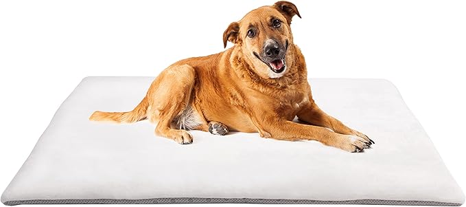 Dog Mat 27.5 x 39.3 in