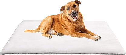 Dog Mat 27.5 x 39.3 in