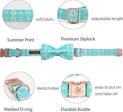 Elegant little tail Dog Collar with Bow