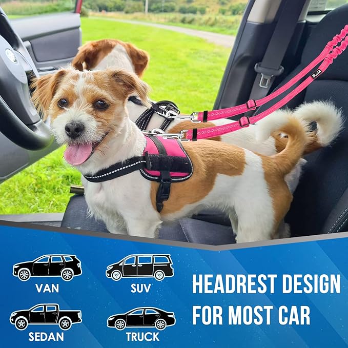 Lukovee Double Dog Seat Belt, New Dual Pet Car Headrest Restraint Safety Seatbelt No Tangle Dog Leash Duty Adjust Elastic Bungee Puppy Lead Splitter Connect Harness in Vehicle Travel for 2 Dogs (FL)