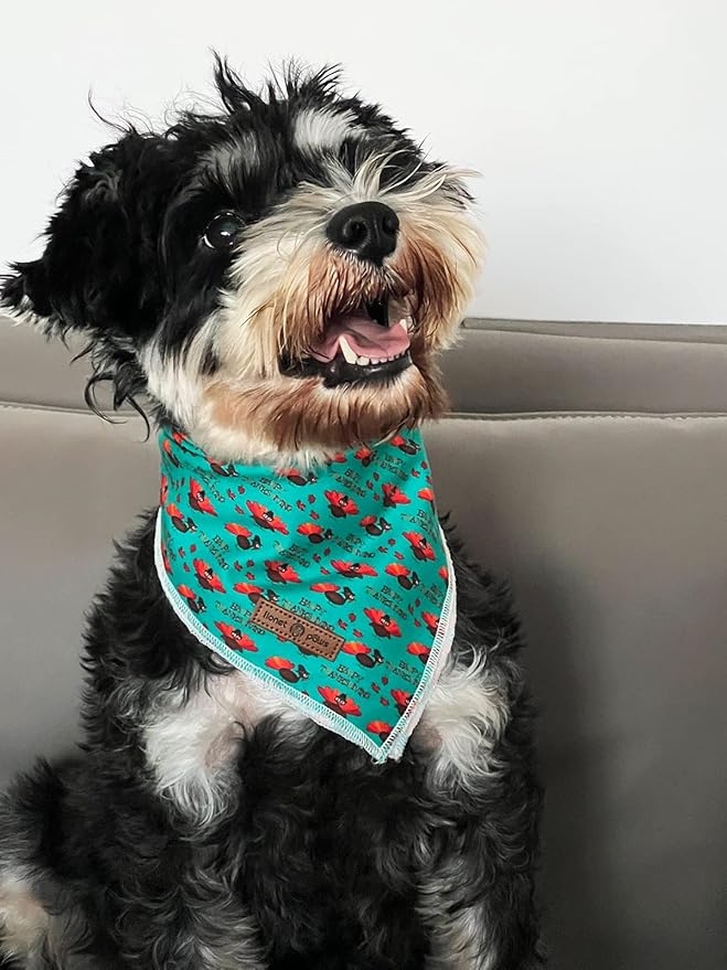 Lionet Paws Thanksgiving Dog Bandana Washable Cotton Handkerchief