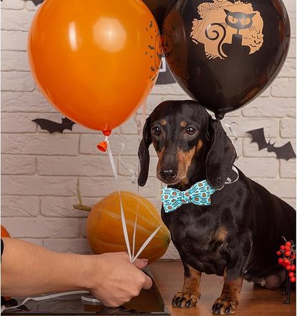 Lionheart glory Dog Collar Fall Dog Collars Halloween Pumpkin Bow Female Male Pet Collar Dogs Collar Bows Duty Adjustable Dog Bow Collars for Small Dogs Puppy