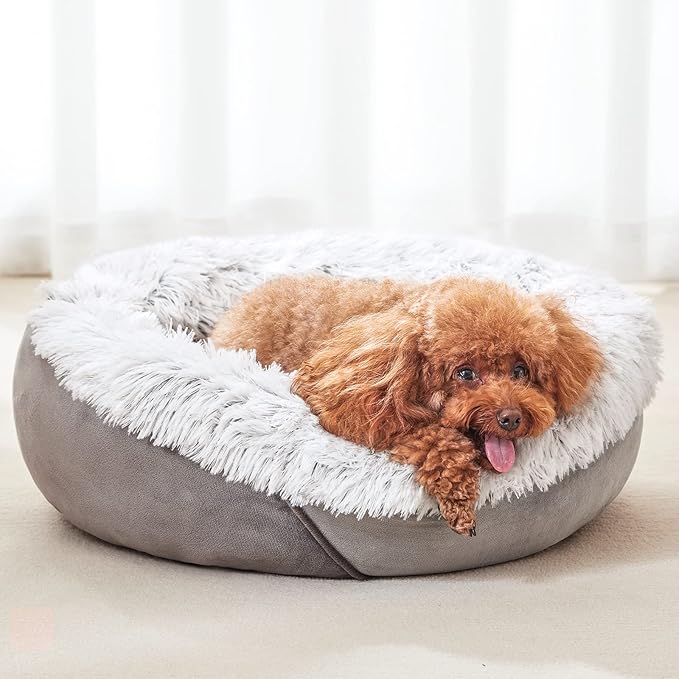 JOEJOY Calming Dog Bed for Small Medium Large Dogs (36", Grey)